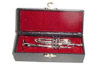 Trumpet and case for dolls